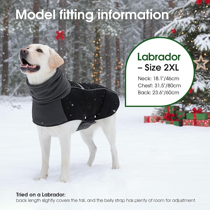 ASENKU Dog Coat, Dog Winter Jackets with Fleece Turtleneck, Windproof, Reflective Pet Snow Jacket for Cold Weather, Coats for Medium Dogs, Black, L