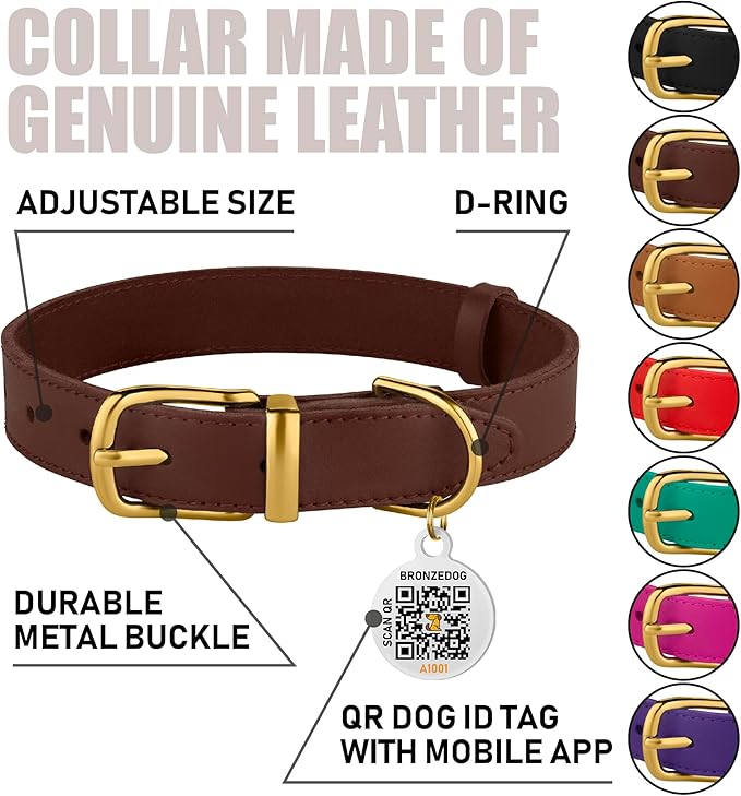 BRONZEDOG Leather Dog Collar with QR ID Tag Basic Pet Collars for Small Mini Dogs Cats Puppies (7-9 Inch (Pack of 1), Dark Brown & Gold Buckle)