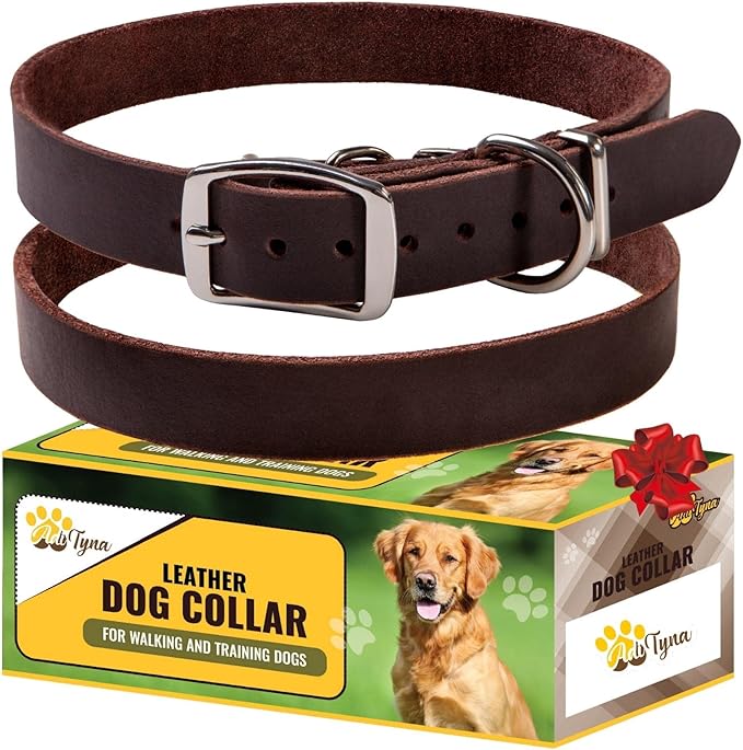 ADITYNA Leather Dog Collar for Extra-Large Dogs - Classic, Soft, Strong, Heavy Duty, Handmade Top-Grain Leather - for Walking, Training, and Hiking