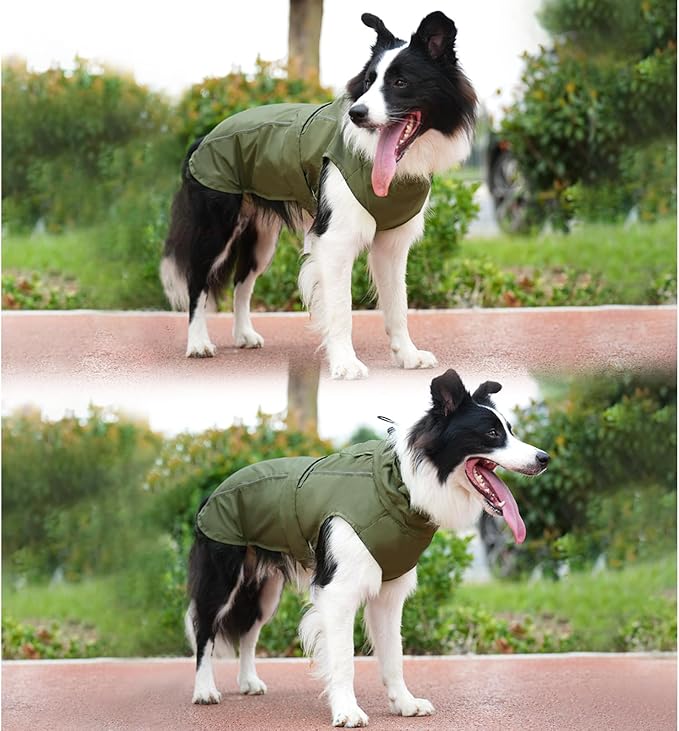 Waterproof Dog Raincoat, Adjustable Lightweight Dog Rain Jacket with Reflective Strip Leash Hole for Small Medium Large Dogs (Green, X-Large(37-55lb))