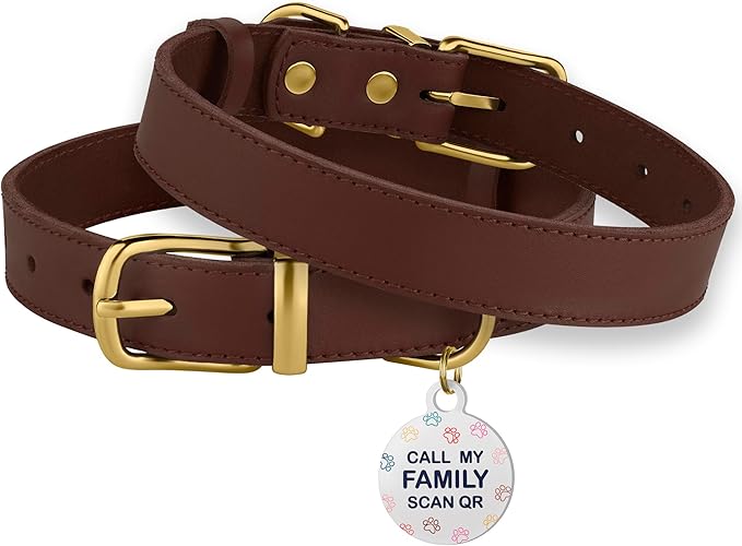 BRONZEDOG Leather Dog Collar with QR ID Tag Basic Pet Collars for Small Mini Dogs Cats Puppies (9-11 Inch (Pack of 1), Dark Brown & Gold Buckle)