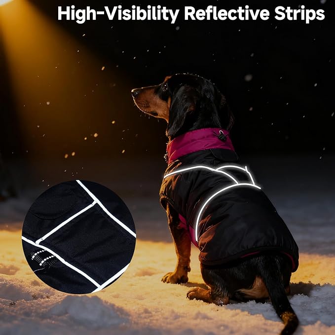 DORA BRIDAL Dachshund Coat, Fleece Lined Dog Winter Coat, Warm Dog Coats with Reflective Strips, Adjustable Waterproof Pet Jacket Clothes, M