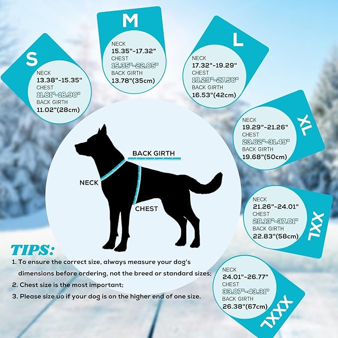 EMUST Dog Jacket Winter, Cozy Windproof Pet Jacket for Cold Weather, Solid Color Dog Vests for Winter for Medium Dogs, Turquoise, M