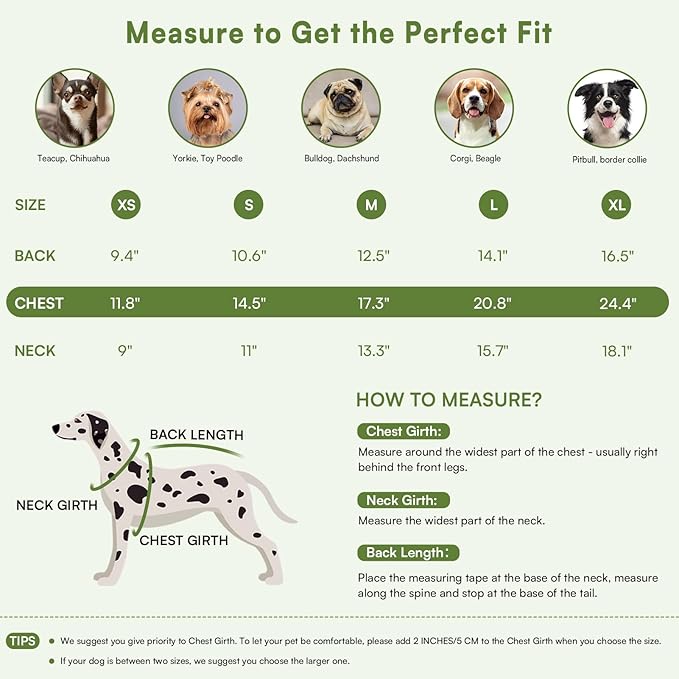Queenmore Pullover Large Dog Sweater,Classic Turtleneck Warm Pet Sweater with Leash Hole for Dog Girls Boys,Winter Knitwear Clothes for Dachshund,Corgi,French Bulldog(Green,L)