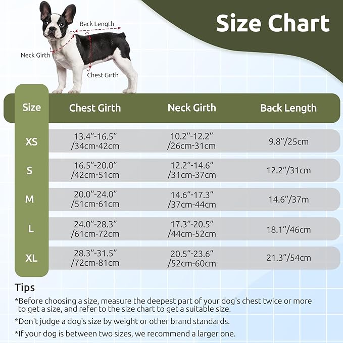 ASENKU Warm Dog Winter Coat, Waterproof Dog Coat for Cold Weather, Fleece Dogs Jacket with Ultra Thick Plush Lining Leash Hole Storage Pockets for Large Dogs (Green, Large)