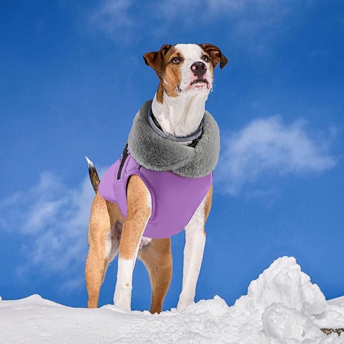 PETDSH Dog Coat Medium, Windproof Dog Jacket with Warm Fleece Lining, Thickened Collar Dogs Winter Coat, Adjustable Reflective Pet Coats for Cold Weather (Purple, Medium)