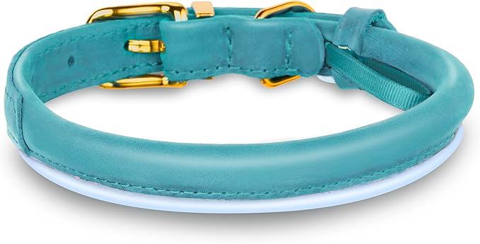 OOPSDOGGY Reflective Rolled Leather Dog Collar Adjustable Soft Padded Pet Collar for Small Medium Large Breed Dogs (Teal, L, 14"-18")