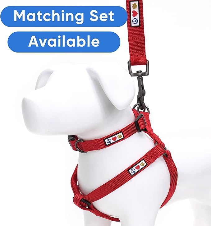 Pawtitas Personalized Dog Leash - Embroidered Custom Leash with Pet Name & Phone Number, 6 ft Long, Red
