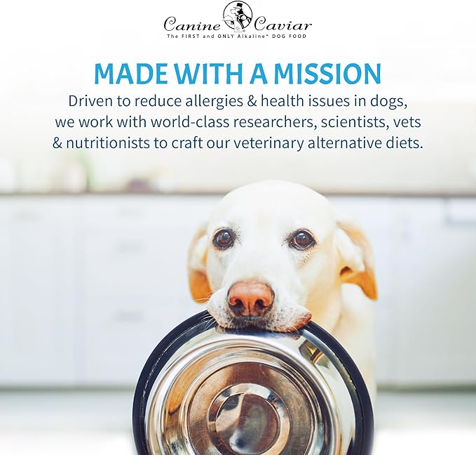 Canine Caviar - Open Sky: Duck & Teff Alkaline Dry Dog Food, Limited Ingredients, Gluten-Free, Based on Science & Research, Veterinary Alternative Diet (11 Pound Bag)