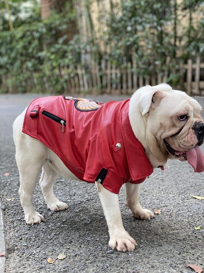 Lovelonglong Cool Dog Leather Jacket, Warm Coats Dogs Windproof Cold Weather Coats for Large Medium Small Dogs with Eagle Embroidery Red B-S