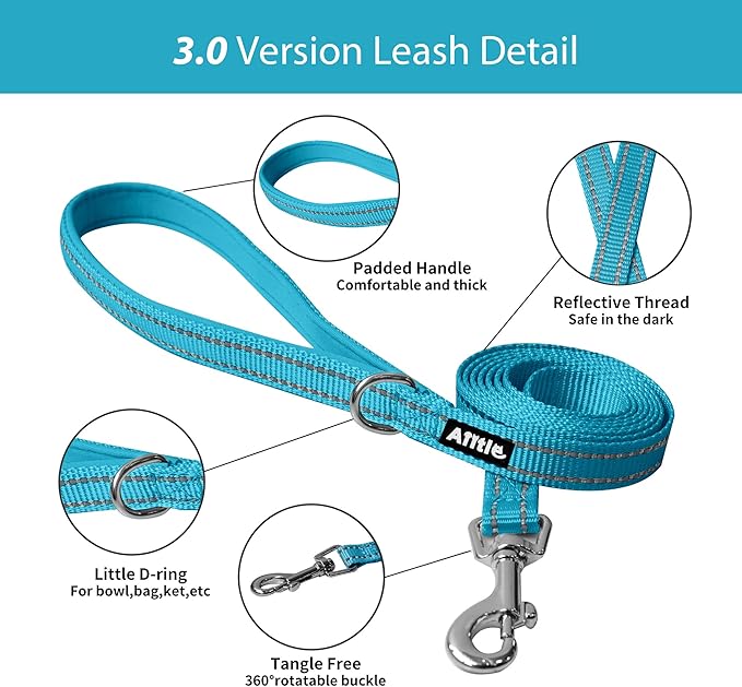 AIITLE Step in Dog Harness and Leash Set - Summer No Pull Escape Proof Vest Harnesses with Soft Mesh and Reflective Bands, Adjustable Pet Outdoor Harnesses for Small and Medium Dogs Hot Pink M