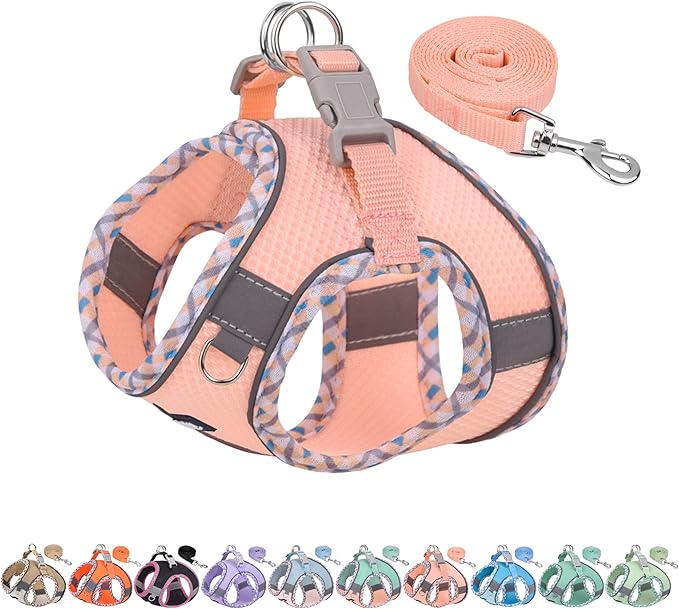 AIITLE Tiny Dog Harness - Lightweight Mesh Step-in Vest for Puppy, Reflective & Escape-Proof Design with High-Stick Magic Tape - Indoor/Outdoor Use for Chihuahua, Maltese, Shih Tzu(Pink, XXXS)
