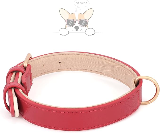 WHIPPY Leather Dog Collar for Small Medium Large Dog Adjustable Soft Breathable Leather Padded Puppy Collar with Alloy Buckle Heavy Duty Waterproof Classic Dog Pet Collar,red,L