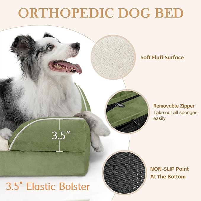 Comfort Expression Orthopedic Dog Bed for Small Dogs 24x16 Inch, Waterproof Supportive Egg Crate Foam Small Pet Bed with Removable Bolster, Dog Couch with Washable Cover & Non-Slip Bottom, Light Green