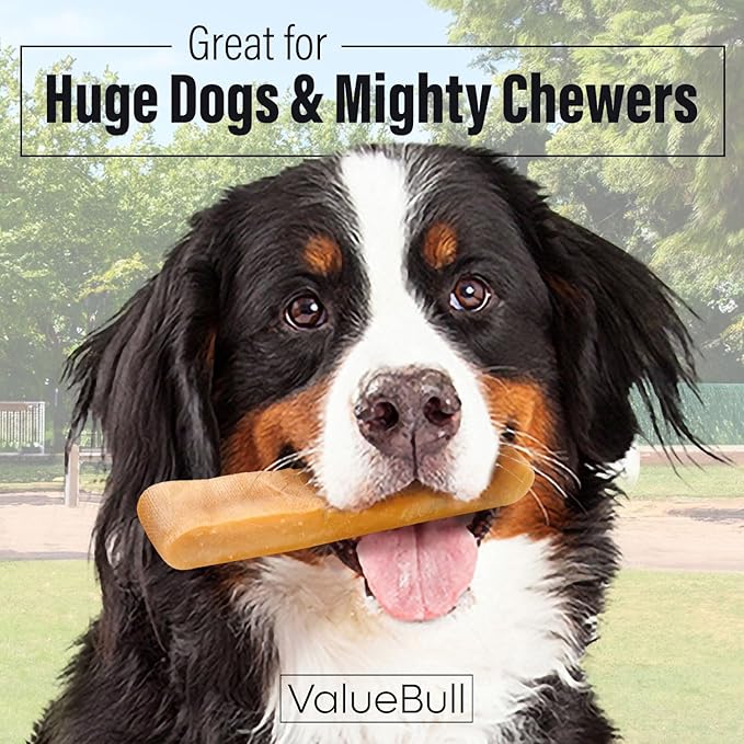 ValueBull Himalayan Yak Cheese Dog Chews, Extra Extra Large, 10 ct - Long Lasting for Aggressive Chewers, All Natural, Healthy & Safe, Low Odor Nepal Yak Milk Chews