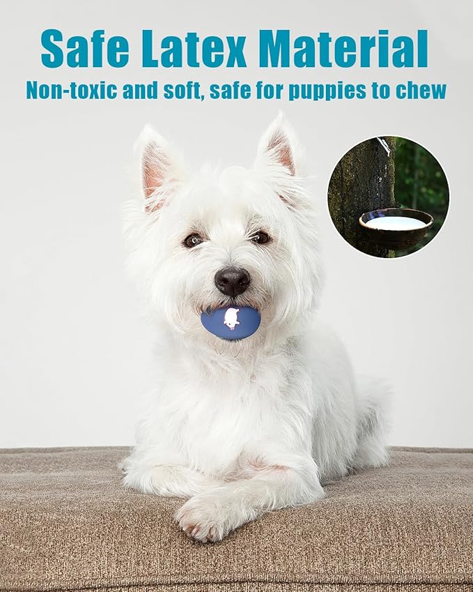 Dog Toys Squeaky, Funny Puppy Balls Pet Toy Pack, Interactive Latex Rubber Squeak Egg Ball for Puppies Small Medium Breed Dogs