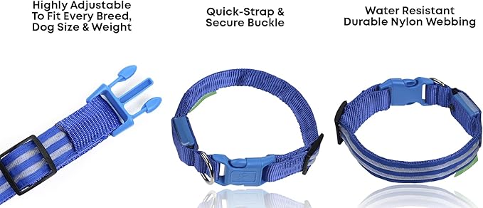 ILLUMISEEN LED Dog Collar USB Rechargeable - Bright & High Visibility Lighted Glow Collar for Pet Night Walking - Weatherproof, in 6 Colors & 6 Sizes (Blue X-Small)
