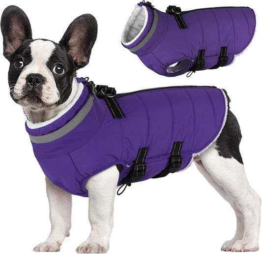 Medium Dog Coat with Harness Built-in, Waterproof Reflective Fleece Lined - Warm Windproof Winter Jacket with Back Zipper, Cold Weather Snow Dog Coats - Purple - M