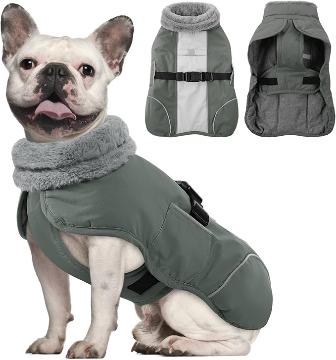 Queenmore Dog Winter Jacket, Fleece Dogs Vest for Winter, Dog Cold Weather Coats, Puppy Coats for Medium Breeds Waterproof, Pet Snowsuit with Leash Hole, Grey, M