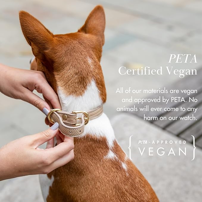 Nina Woof Milan Vegan Leather Dog Collar - Padded Luxury Collar with Adjustable Buckle - For Small to Large Dogs - Beige, Large
