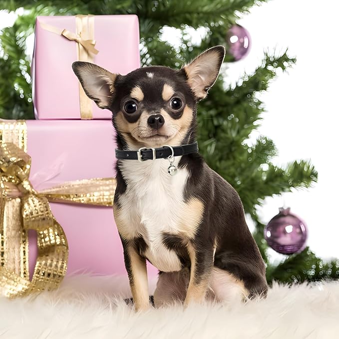 Green XS Dog Collar with Bell, Soft Pu Leather Cat Collars Adjustable Buckle for XXS Extra Small Medium Tiny Female Male Boys Girls Pets Puppy Kitten Teacup Yorkie X-Small