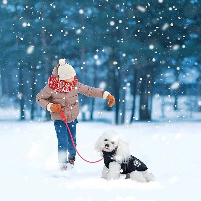 Warm Dog Winter Coat, Windproof Cold Weather Jacket, Reflective & Adjustable Black Pet Vest with Harness, Thick Polar Fleece Lining Cozy Apparel for Small Medium Dogs & Cats