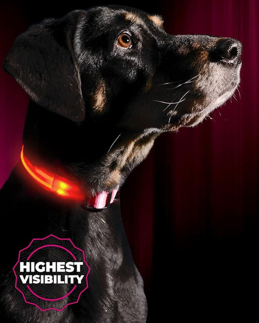 ILLUMISEEN LED Dog Collar USB Rechargeable - Bright & High Visibility Lighted Glow Collar for Pet Night Walking - Weatherproof, in 6 Colors & 6 Sizes (Pink X-Small)