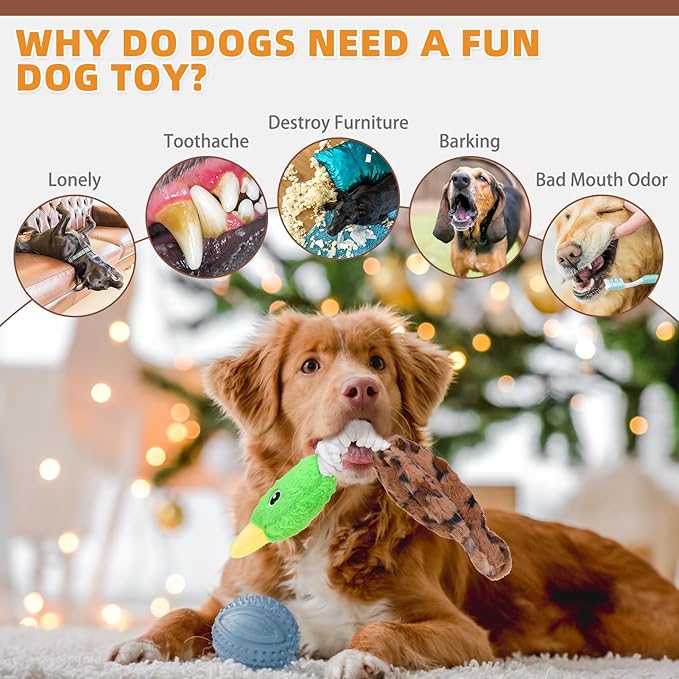 KOOLTAIL Duck Dog Toys, Tough Plush Dog Chew & Squeaky Toys with Crinkle Paper, Interactive Training & Tug of War Puppy Teething Toy for Indoor Outdoor Play, Soft Pet Toy for Small Medium Large Dogs