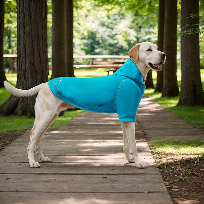 Basic Dog Hoodie Sweatshirts, Pet Clothes Hoodies Sweater with Hat and Leash Hole, Soft Cotton Outfit Coat for Small Medium Large Dogs, Royal Blue (X-Large)