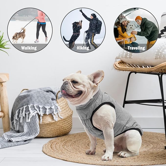 SCENEREAL Winter Dog Vest Coat with Harness Built in, Warm Dog Jacket for Small Medium Dogs, Puppy Cold Weather Coats with Zipper, Fleece Puffer Vest Windproof Snow Clothes for Puppy Pet