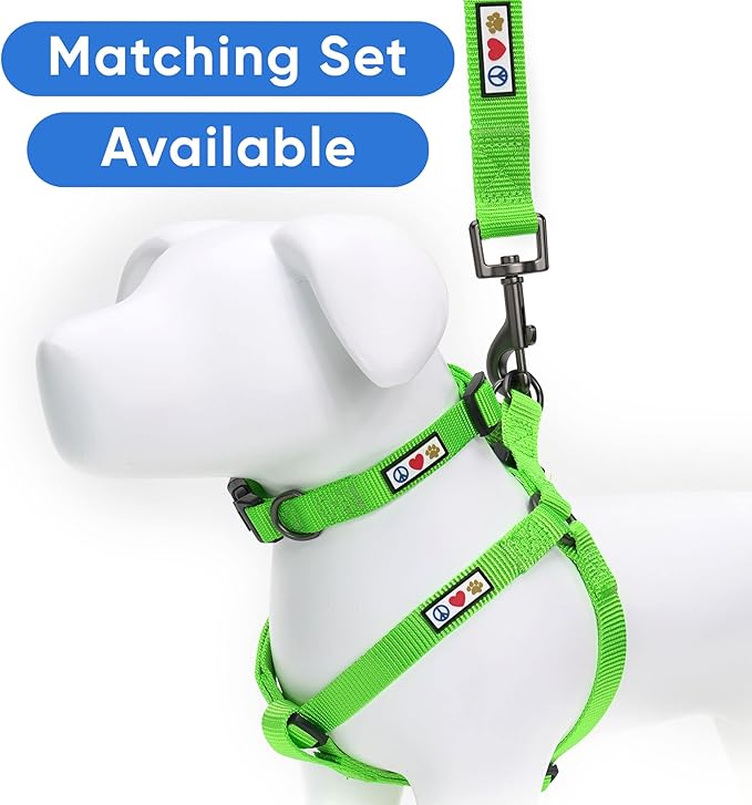 Pawtitas Personalized Dog Leash - Embroidered Custom Leash with Pet Name & Phone Number, 6 ft Long, Green, Custom Engraved Name