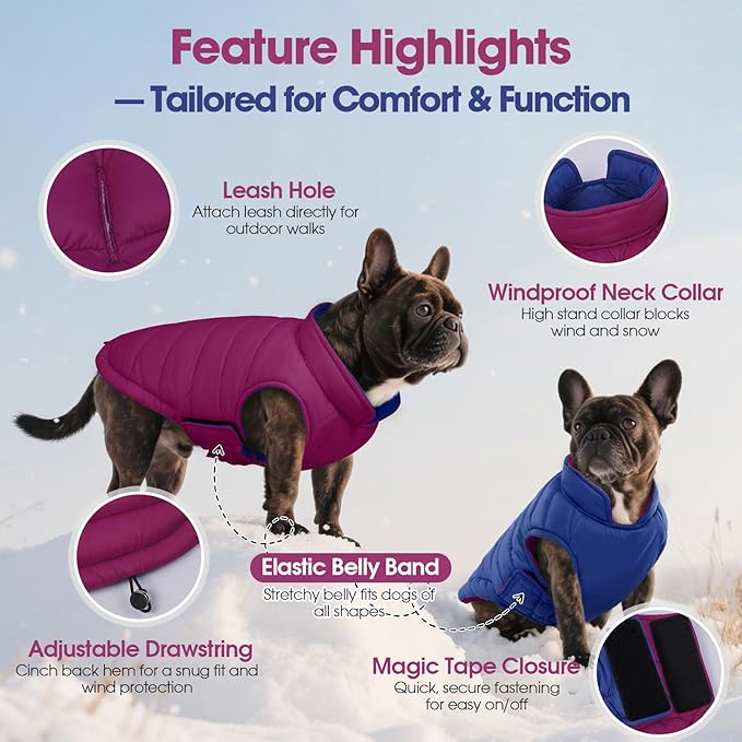 QBLEEV Reversible Dog Winter Coat, Waterproof Windproof Warm Jacket with Adjustable Hook & Loop Design, Lightweight Puffer Vest for Medium Dogs, Purple, M – Fits Pug, Beagle, Corgi