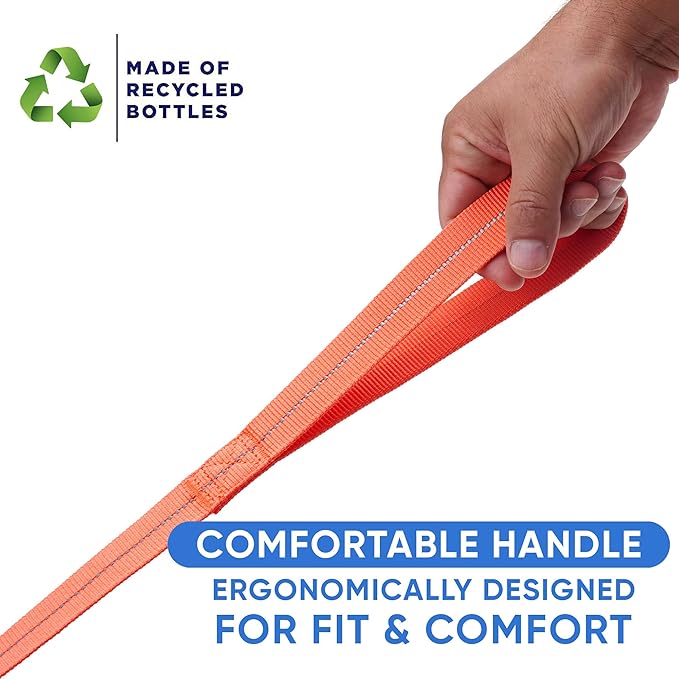Pawtitas 6 FT Recycled Dog Leash with Reflective Stitched Thread Stitched on Side| Small Reflective Dog Leash Made from Plastic Bottles Collected from Oceans – Coral 6 ft Dog Leash