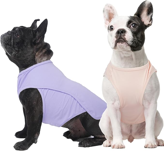 2 Pack Dog Shirt Quick Dry, Sun Protection UPF50+ Summer Cooling Vest, Soft Lightweight Tshirts for Medium Dogs Allergies Wound Care, Purple+Pink, M