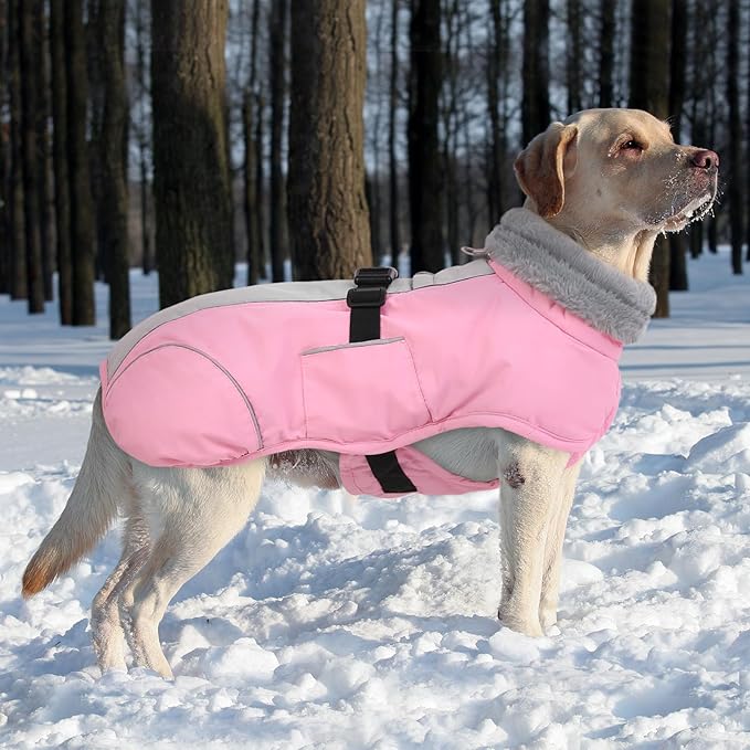 Queenmore Dog Winter Jacket, Fleece Lining Doggie Vests for Winter, Dog Coats for Medium Dogs Waterproof, Puppy Snowsuit with Leash Hole, Pink, M
