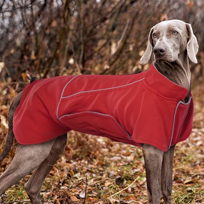 MIGOHI Dog Snow Jacket,Large Dog Winter Coat,Winter Jackets for Dogs,Fleece Jacket for Dogs Boy Girl,Pet Clothes for Hiking Camping,Corgi,Shibainu,L,Red