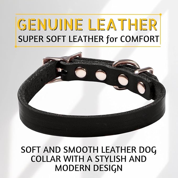 ADITYNA Extra-Small Leather Dog Collar for XS Dogs - Classic, Soft, Strong, Heavy Duty, Handmade Top-Grain Leather - for Walking, Training, and Hiking