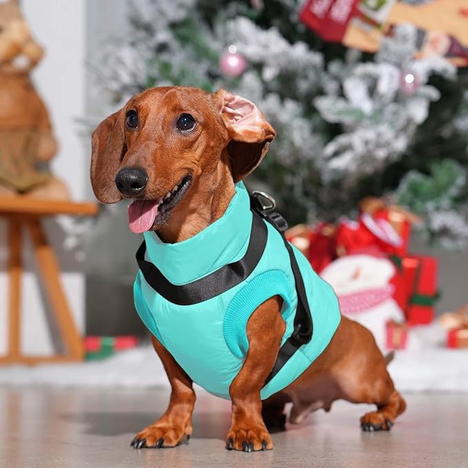 Dog Jacket with Harness,Fleece Lined Warm Puppy Coat for Winter,Soft Windproof Medium Dog Vest,Bluegreen XL