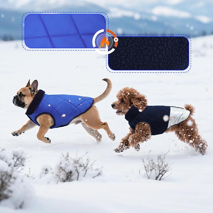 EMUST Dog Snow Jacket, Sweater for Dogs, Windproof Waterproof Fleece Lining Extra Warm Coats for Dogs, Royal Blue, M