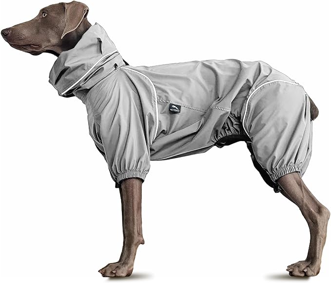 Dog Lightweight Windbreaker, Pet Outdoor Sports Jacket, 0.5 lbs,3 in One, Hooded, Easy on/Off with Collar and Harness, Reflective Piping, Packable, Dog Hiking/Camping, Grey (Large)