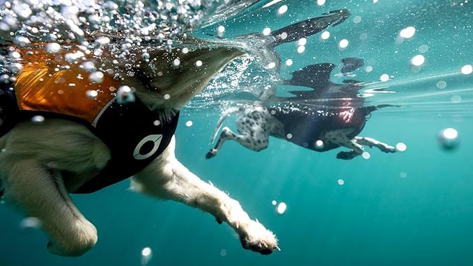 Stunt Puppy Float Doggy Life Jacket, Ergonomic Dog Life Vest for Swimming, Patented Design for Secure Fit, X-Large, Pink
