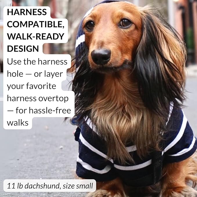 DJANGO Dog Hoodie – Warm, Lightweight, Soft & Stretchy Dog Sweater with Hood, Harness Hole & Elastic Waistband – Cozy Sweatshirt for Small Dogs up to 25 lbs, Dachshunds & Puppies – Navy Blue, X-Small