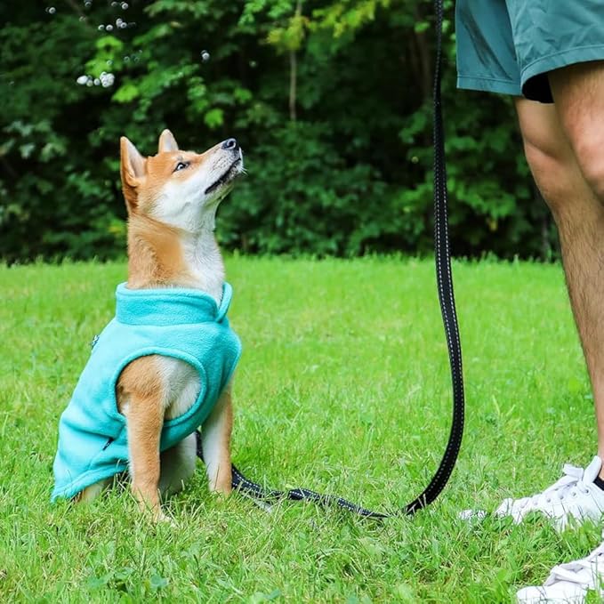 JACKO & CO - Fleece Vest Dog Sweater with Leash Ring - Soft, Warm & Lightweight Pullover Coat for Small & Medium Dogs, Puppies & Cats - Cozy Fall/Winter/Spring Pet Jacket (Turquoise, Small 4-6lbs)