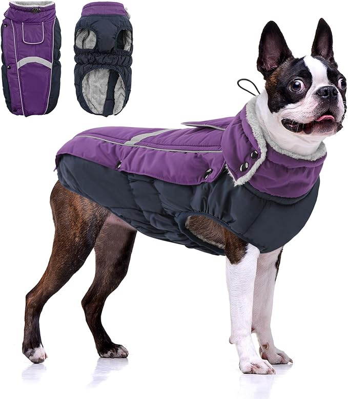 Queenmore Waterproof Dog Coat for Small Dogs,Reflective Windproof Dog Jackets with Leash Hole,Winter Dogs Coat with Zipper On Back,Warm Snowsuit with Fleece Lining（Purple,XS