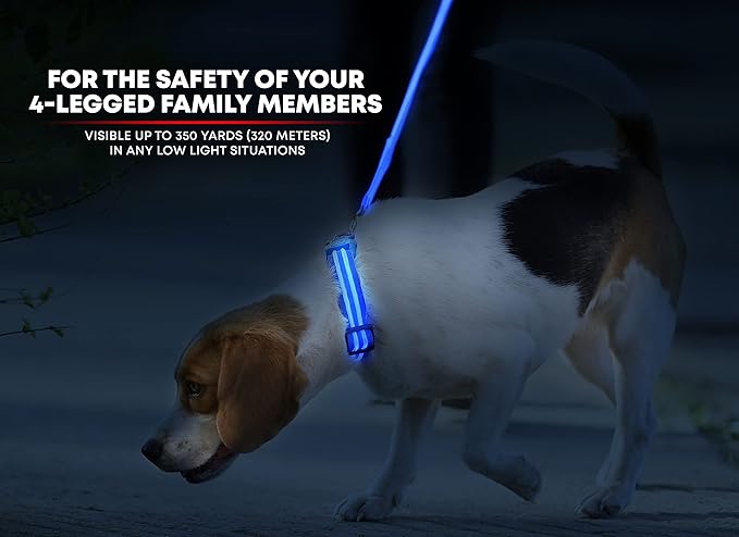 ILLUMISEEN LED Dog Collar USB Rechargeable - Bright & High Visibility Lighted Glow Collar for Pet Night Walking - Weatherproof, in 6 Colors & 6 Sizes (Blue Medium)