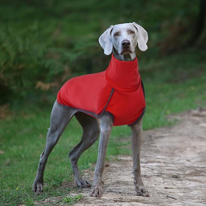 ROZKITCH Dog Winter Coat Soft Pullover Pajamas, Pet Windproof Warm Cold Weather Jacket Vest Cozy Jumpsuit Apparel Outfit Clothes for for Chritmas Walking Sleep BrightRed S