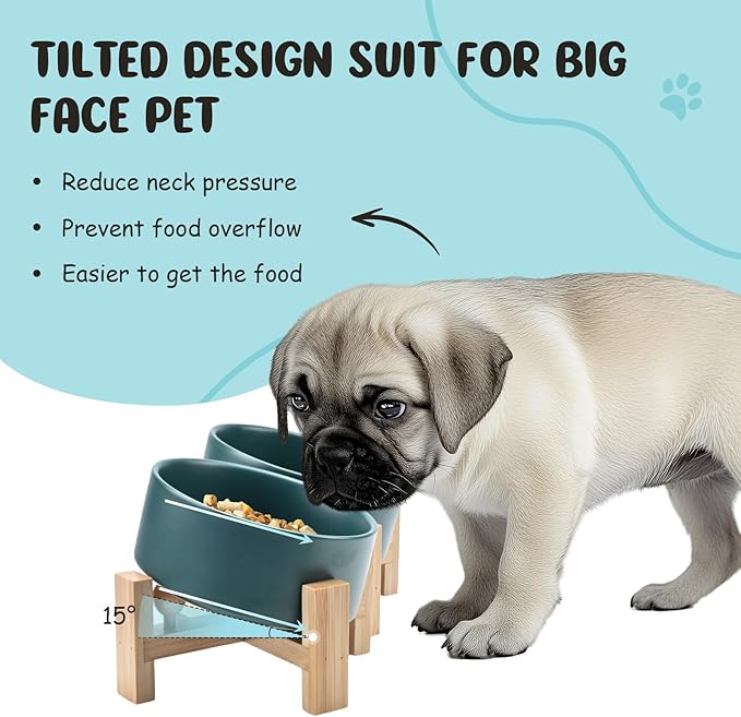 SPUNKYJUNKY 15° Slanted Ceramic Dog and Cat Bowl with Wooden Stand, Tilted Bulldog Food and Water Bowl No Slip Non-Spill for Cats Medium Dogs Big Face Pets 28.7 OZ (3.6 Cups, Green × 2)