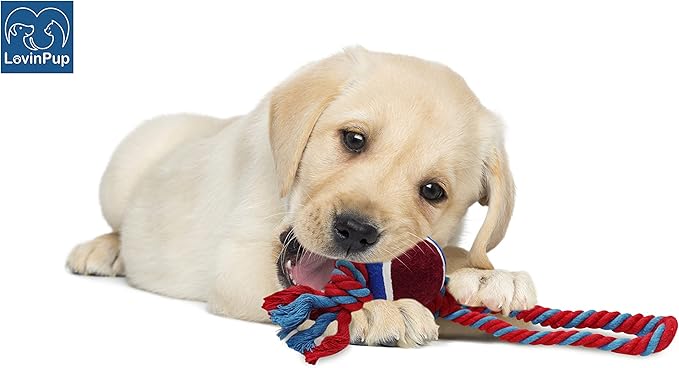 Dog Rope Toy with Tennis Ball, Nylon Ropes with Balls, Fun Tug of War Toys for Dogs, Tough Pet Toy for Aggressive Chewers, Eskimo, Terrier, Beagle and More (1 Rope Dog Toy Red Ball FBA)