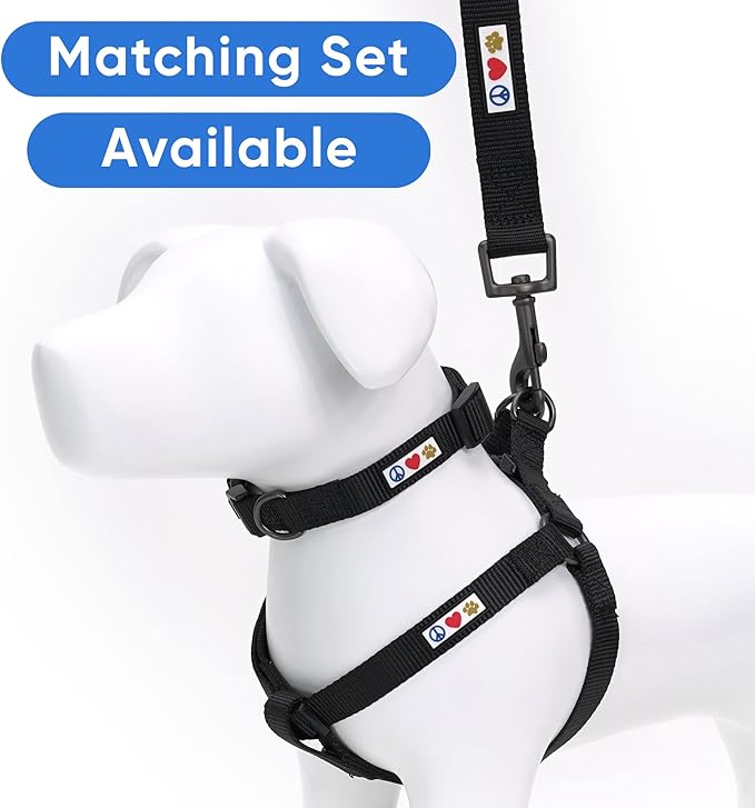 Pawtitas 6 FT Solid Color Leash for Puppy and Dog Leash Dog Training Leash 6 ft or 1.8 m Dog Leash Extra Extra Small Dog Leash can be Used for as a Cat Leash Black Dog Leash