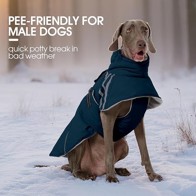FUAMEY Dog Cold Weather Coats,Dog Winter Jackets for Medium Dogs Warm Dogs Coat with Reflective Strips Waterproof Pet Snowsuit Thick Paded Pets Vest for Boston Terrier French Bulldog Blue M